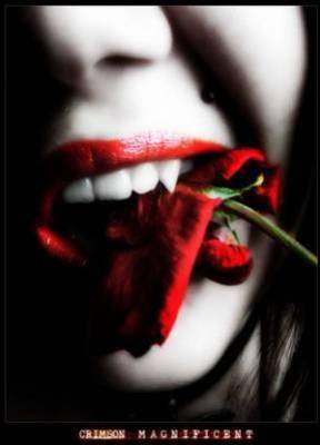 Xx... Immortelle ...xX